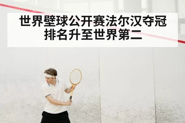 世界壁球公开赛法尔汉夺冠排名升至世界第二