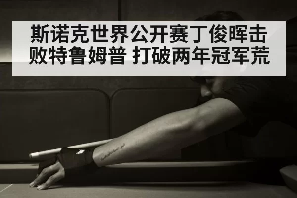 斯诺克世界公开赛丁俊晖击败特鲁姆普 打破两年冠军荒